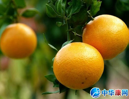 【柑橘类水果】柑橘类水果有哪些_柑橘类水果