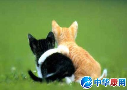 【交朋友的名言】
